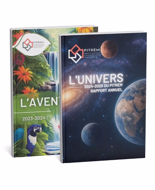 Rapport annuel OBNL PITREM